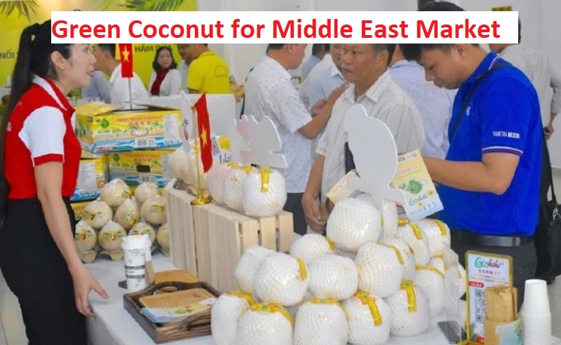 Green Coconut for Middle East Market
