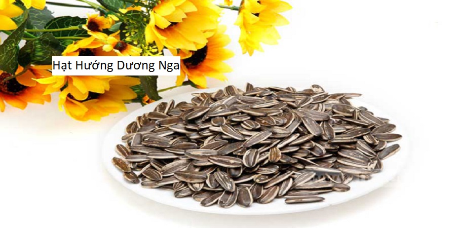 Hạt Hướng Dương Nga