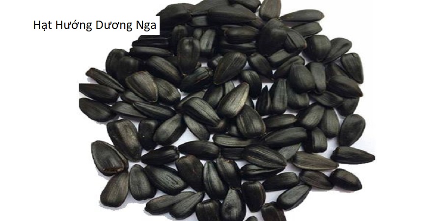 Hạt Hướng Dương Nga